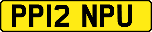 PP12NPU