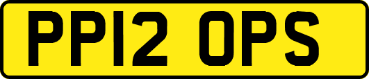 PP12OPS