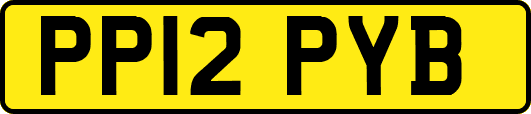 PP12PYB