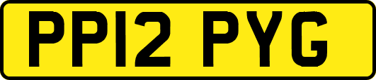 PP12PYG