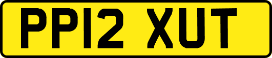 PP12XUT