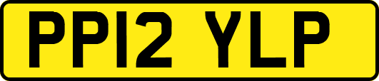 PP12YLP