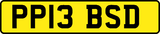 PP13BSD