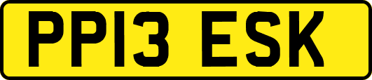 PP13ESK