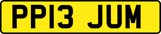 PP13JUM