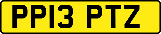 PP13PTZ