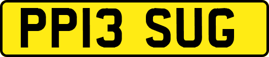 PP13SUG