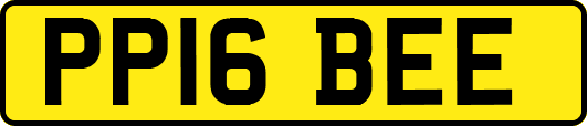PP16BEE