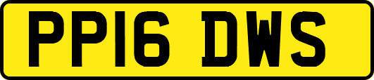 PP16DWS