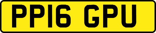 PP16GPU