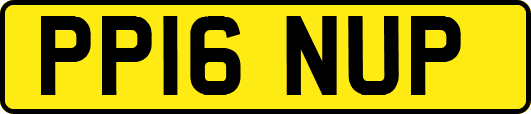 PP16NUP