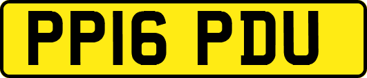 PP16PDU