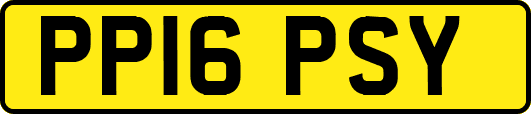 PP16PSY