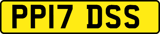 PP17DSS