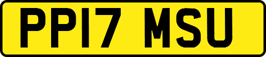 PP17MSU