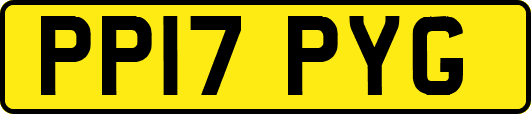 PP17PYG