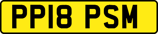 PP18PSM