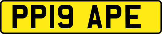 PP19APE