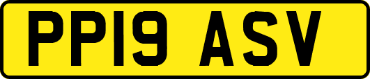 PP19ASV
