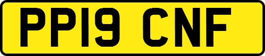 PP19CNF