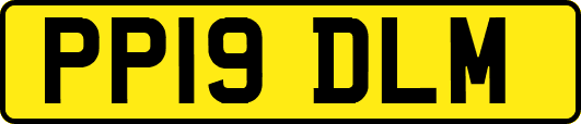 PP19DLM