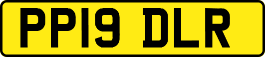 PP19DLR