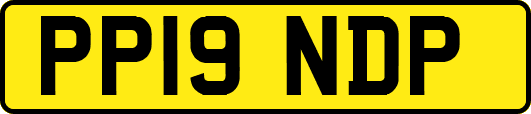 PP19NDP