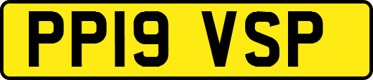 PP19VSP
