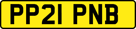 PP21PNB