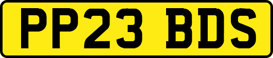 PP23BDS