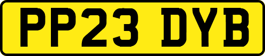 PP23DYB
