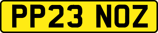 PP23NOZ