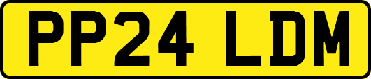 PP24LDM