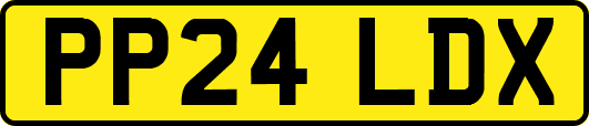 PP24LDX