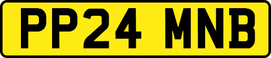 PP24MNB
