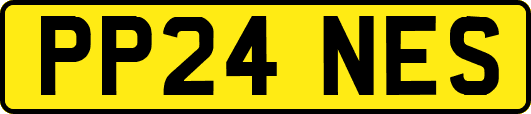 PP24NES