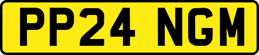 PP24NGM