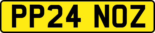 PP24NOZ