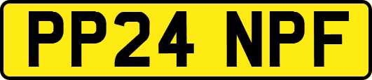 PP24NPF