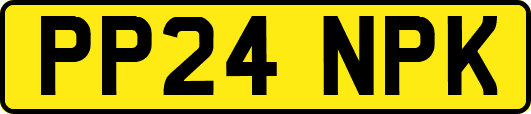 PP24NPK