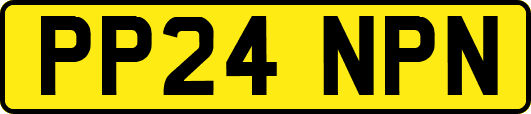PP24NPN