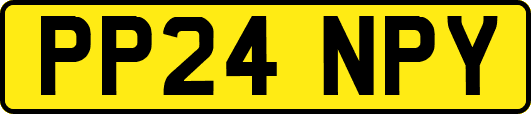 PP24NPY