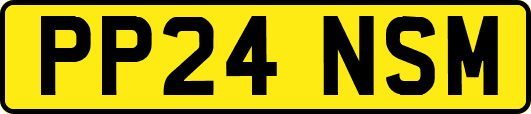 PP24NSM