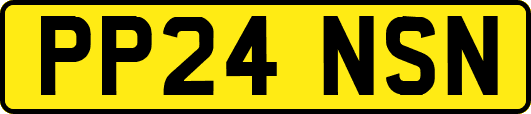 PP24NSN