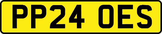 PP24OES
