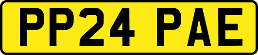 PP24PAE