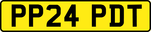 PP24PDT