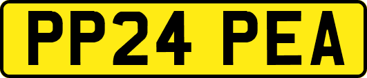 PP24PEA