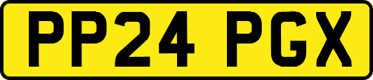 PP24PGX