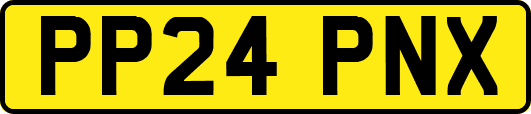 PP24PNX